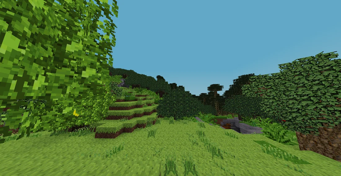 A clearing in a lushious lemon tree forest